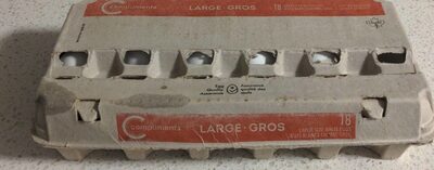 12 Large Eggs, white